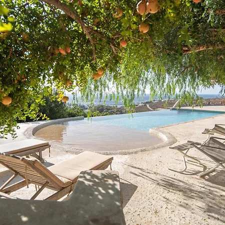 Armonia Дом отдыха Писо-Ливади